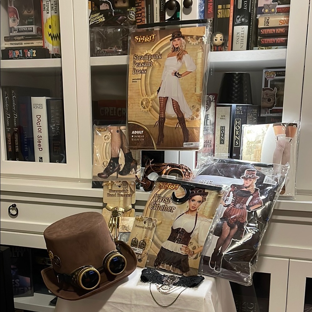 Huge Lot of Adult Women’s L/XL Steampunk Halloween Costume Collection!